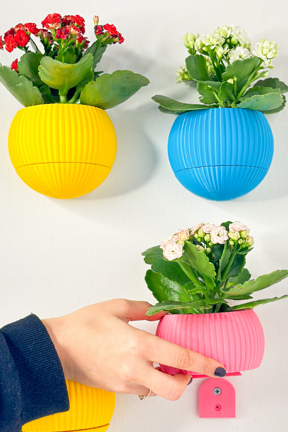 Hue Nest Mini Duvar Saksısı - 2