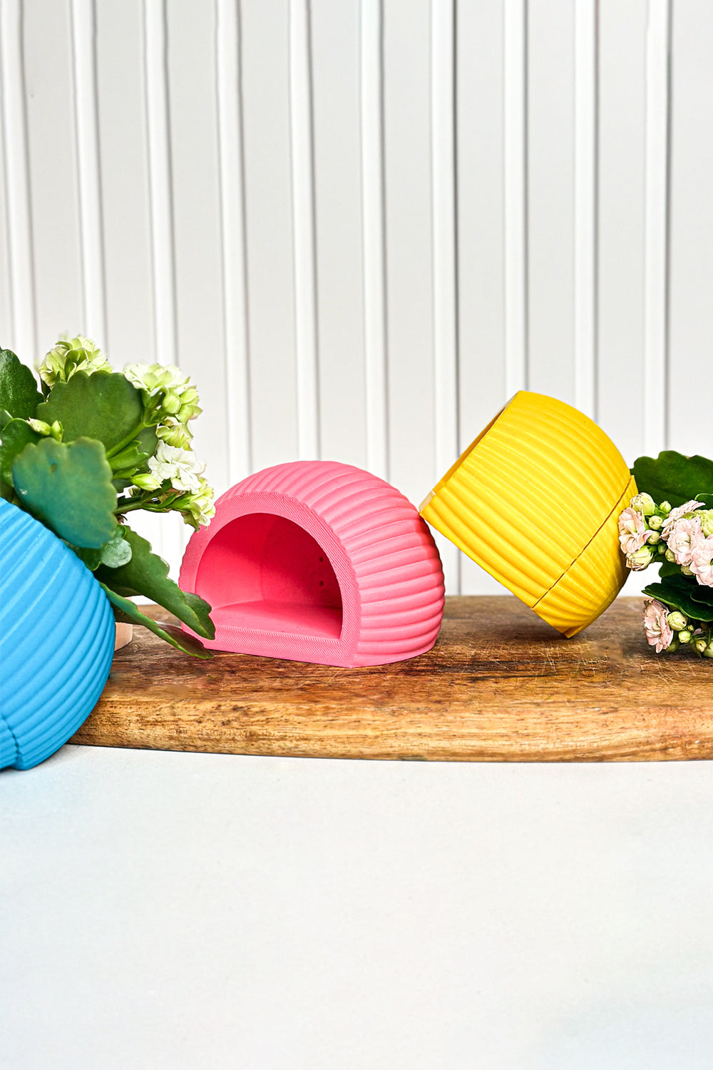 Hue Nest Mini Duvar Saksısı - 6