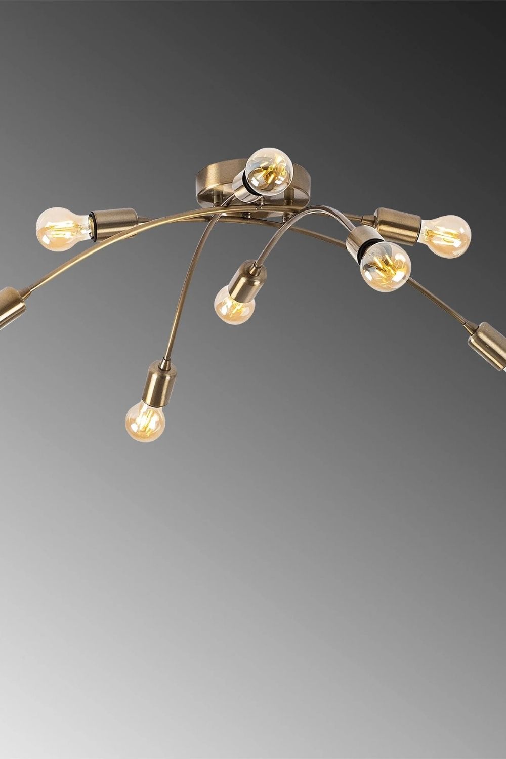 Ganymede 1152 Rustik Plafonyer Aydınlatma - 1