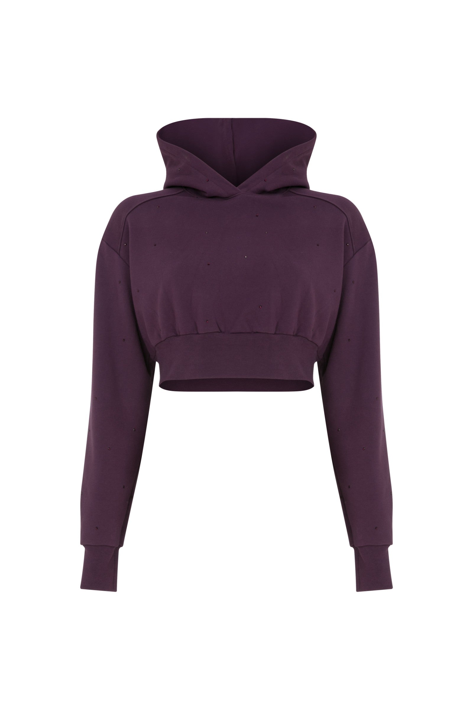 Ace Nayman-Felix Rhinestone Cropped Hoodie-Sweatshirts & Hoodies-2-milagron.live