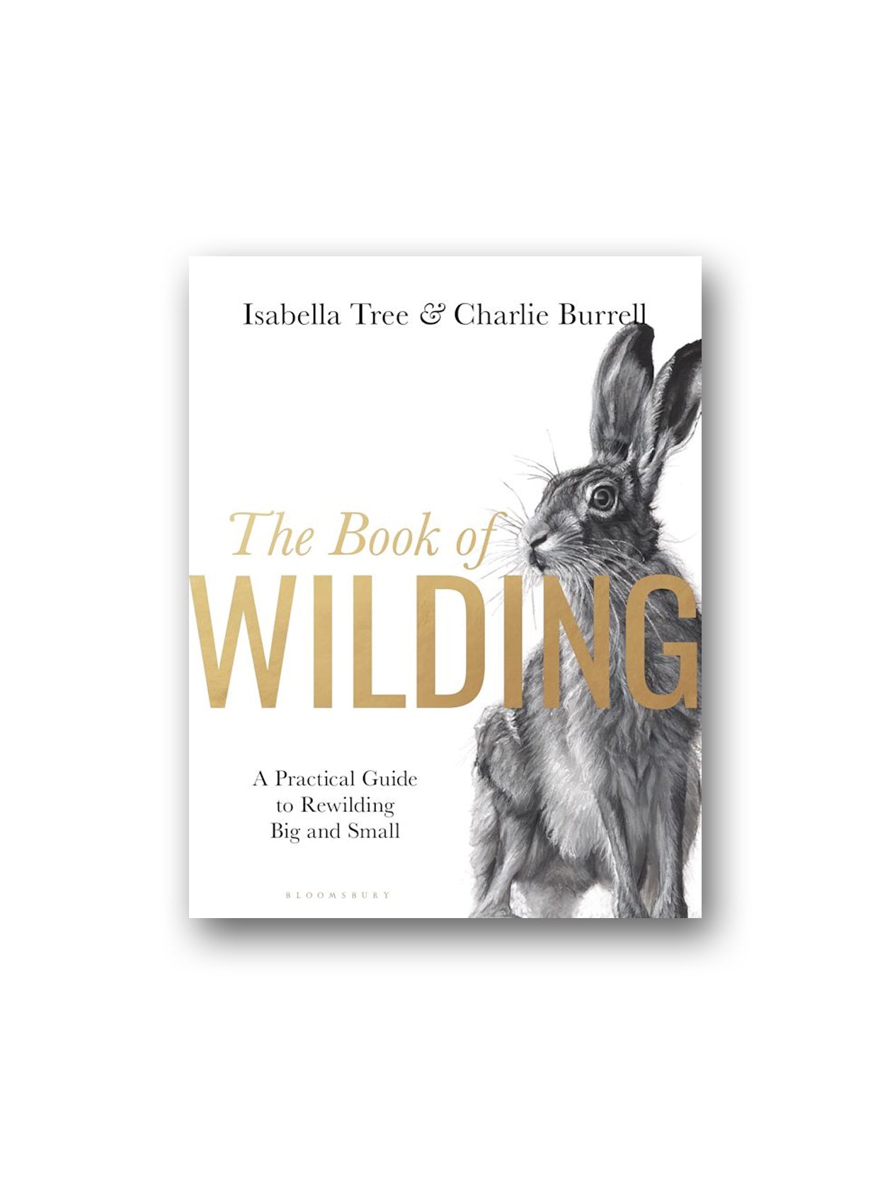 BloomsburyBooks-The Book Of Wilding-Kitap-1-milagron.live