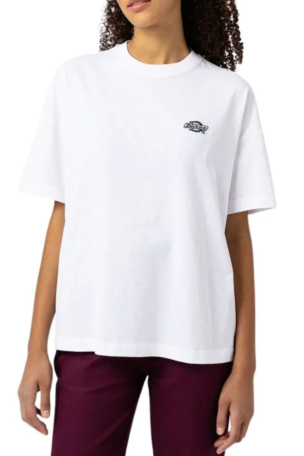 Dickies-Summerdale SS Tee White-T-Shirts-1-milagron.live