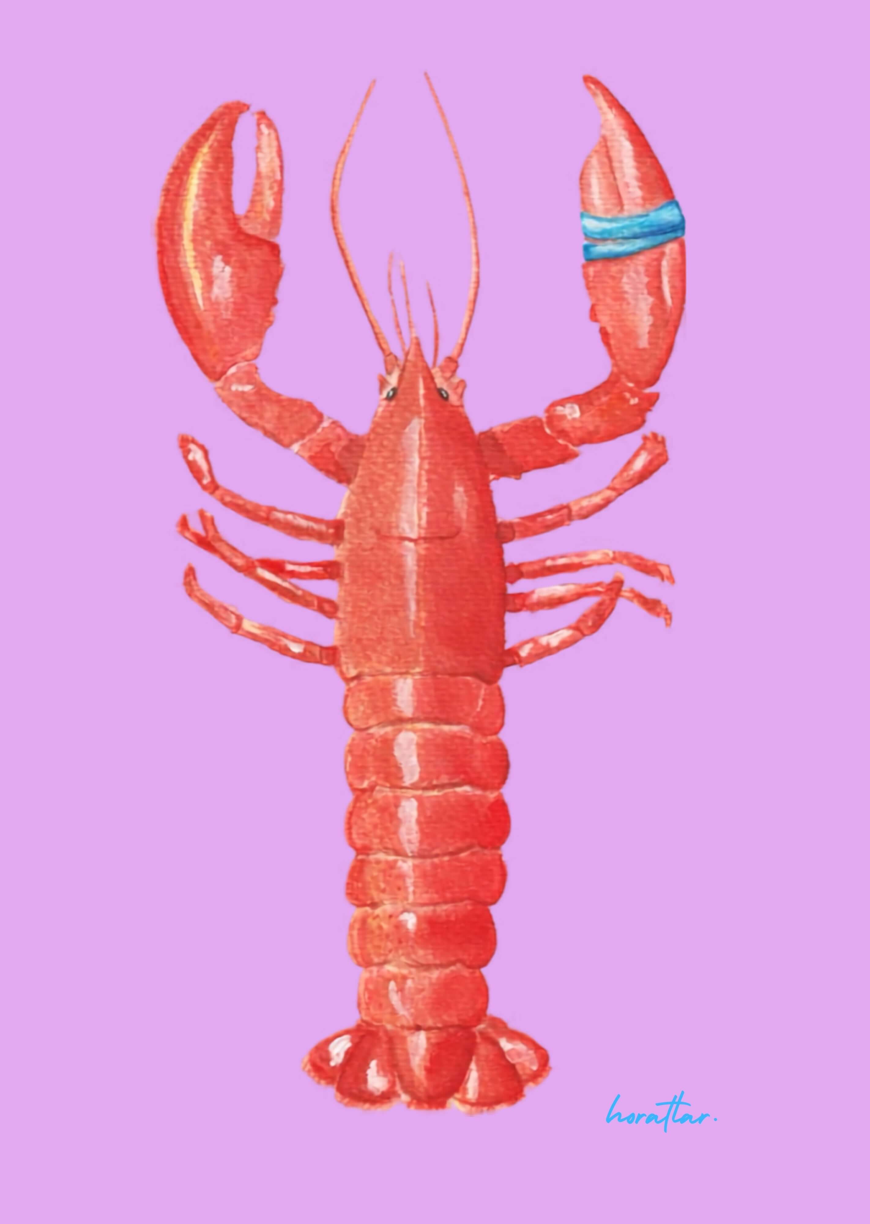 Hazal Türer - Lobster 3' Lü Set
