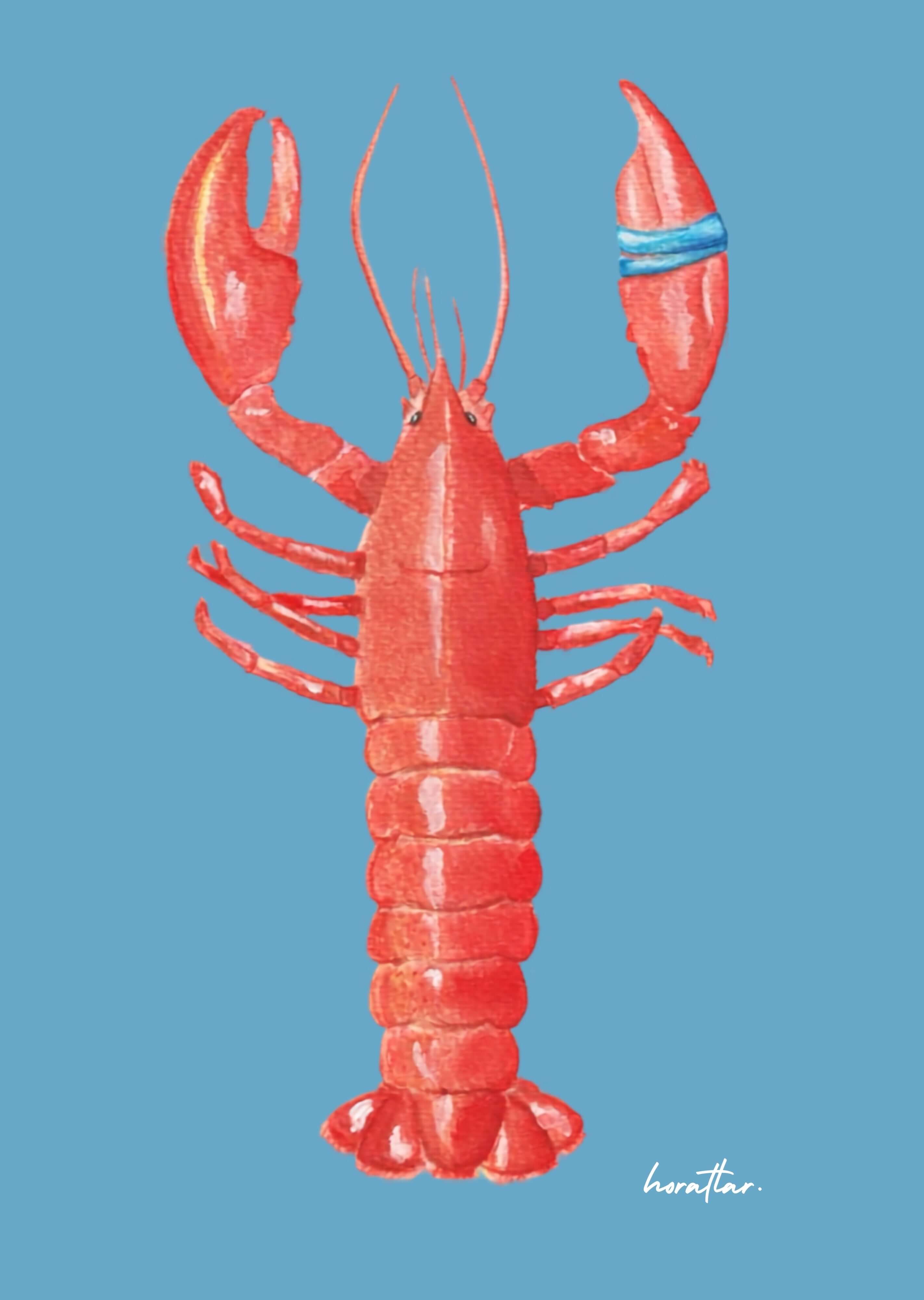 Hazal Türer - Lobster 3' Lü Set