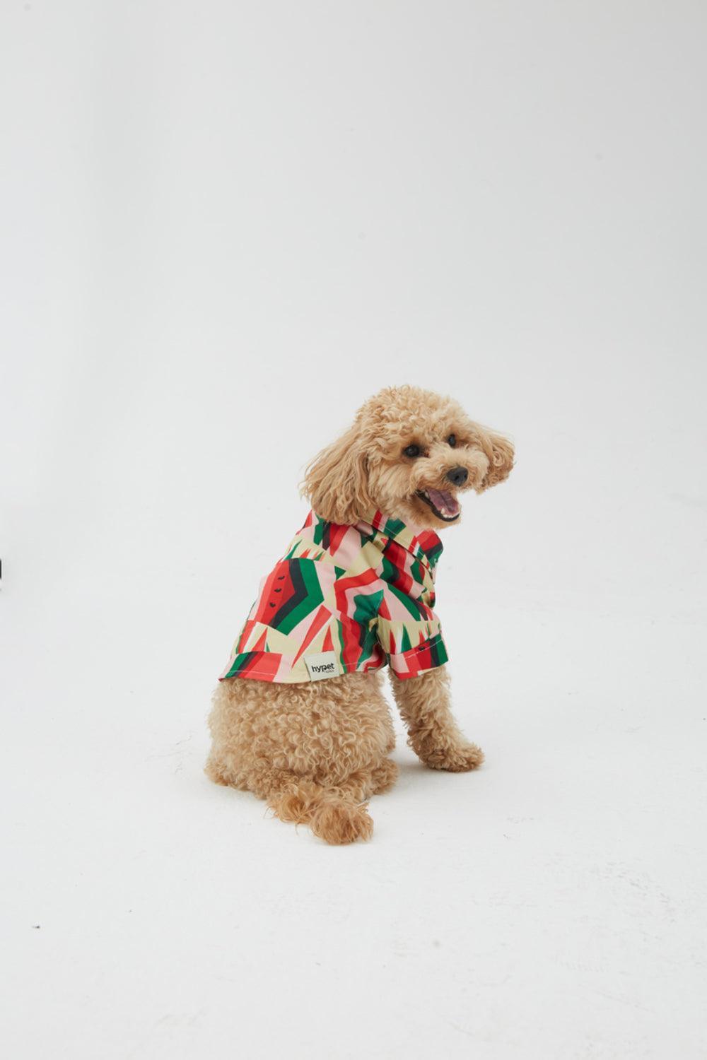 Hypet Fashion-Watermelon Gömlek-Köpek-5-milagron.live
