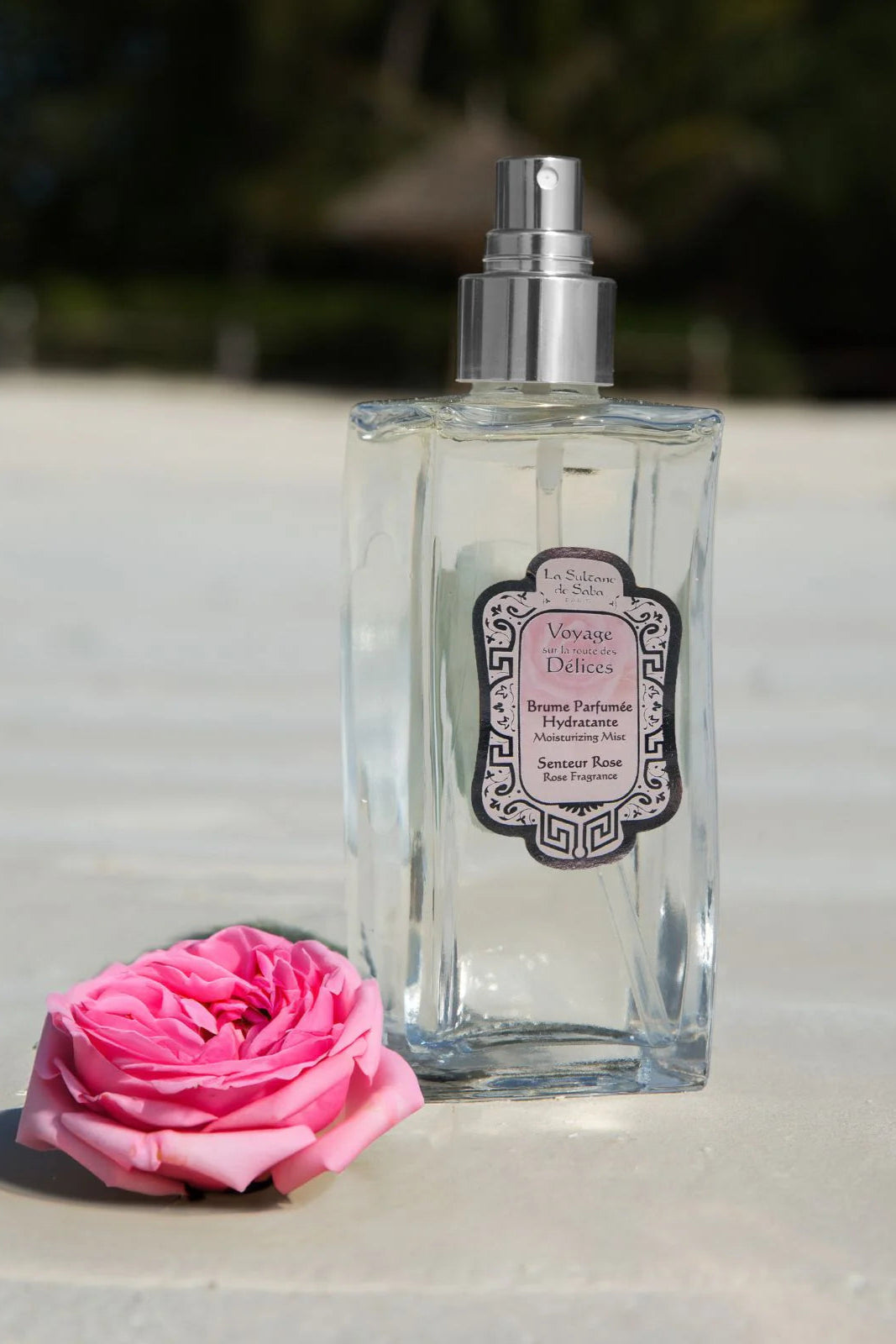 La Sultane De Saba-Mist Rose (Delices)-1-milagron.live