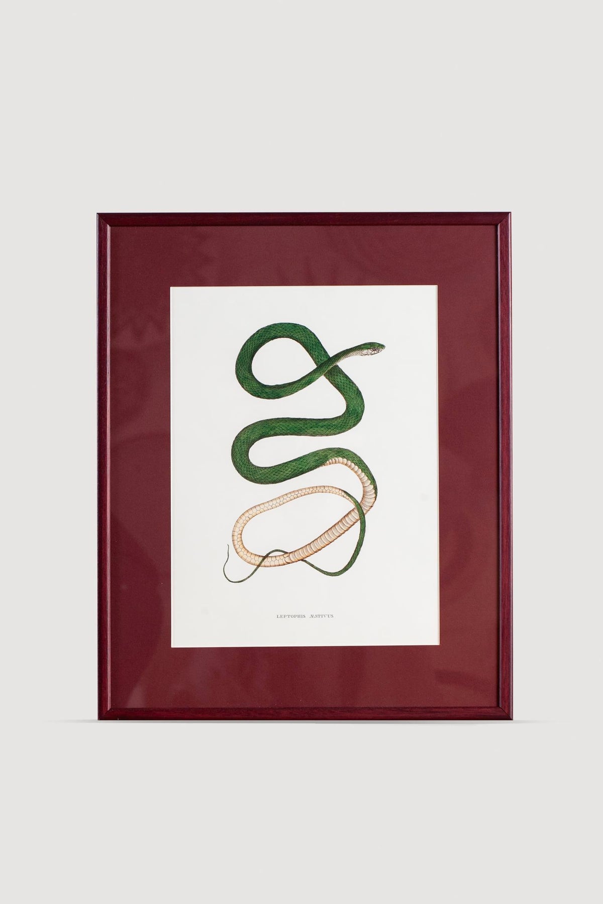 Lasttouch-Serpent Serisi Tablo No:5-Tablo-1-milagron.live