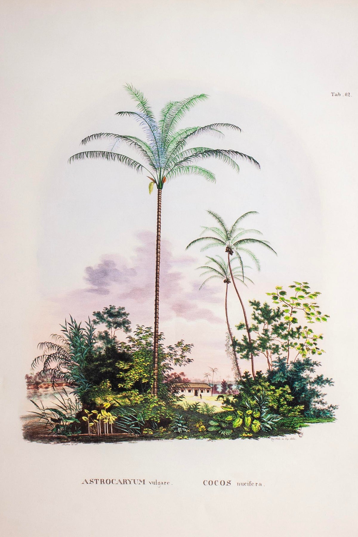 Lasttouch-Tropical Serisi Tablo No:3-Tablo-2-milagron.live