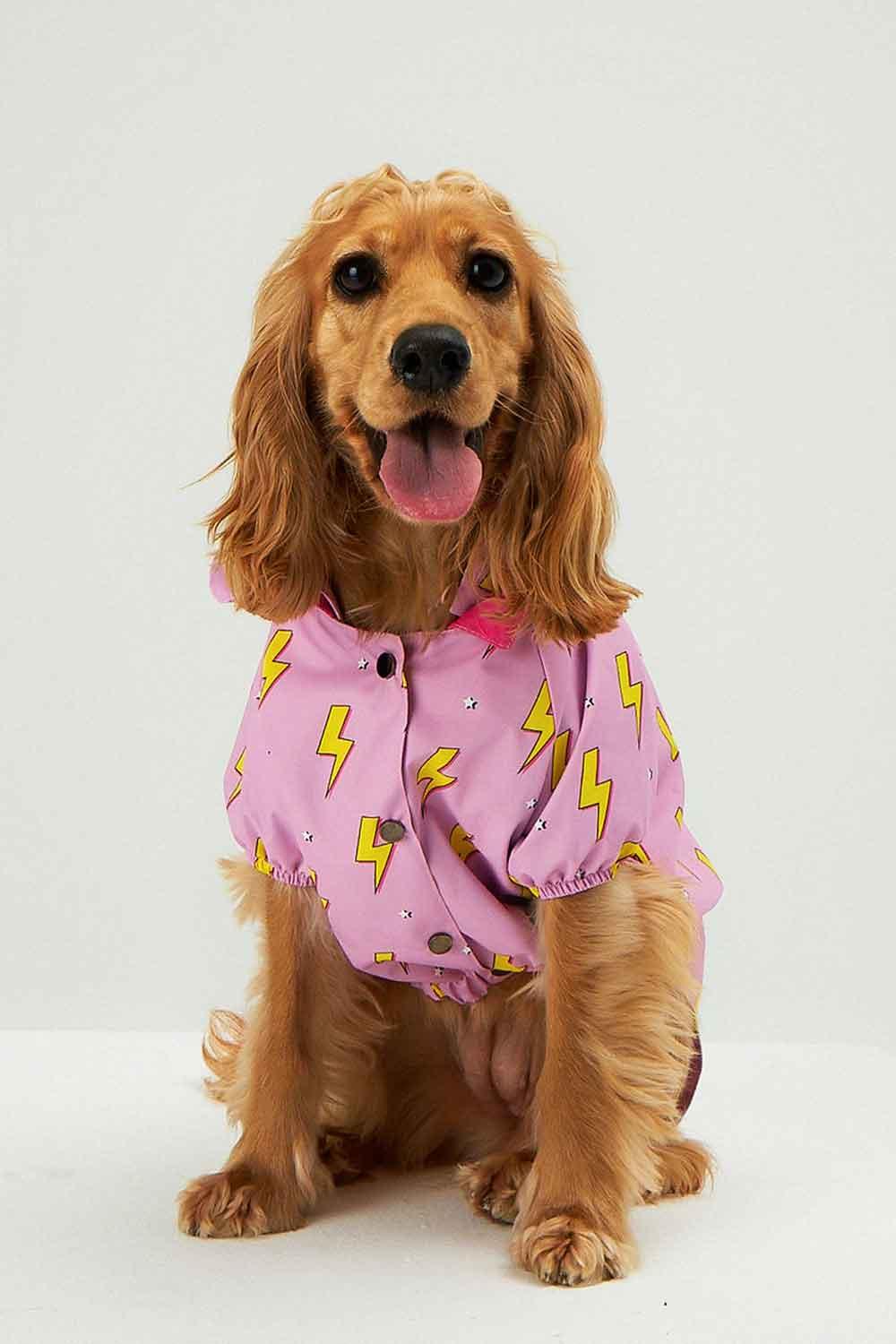 Little Monsters-Pink Flash Yağmurluk-Köpek-2-milagron.live