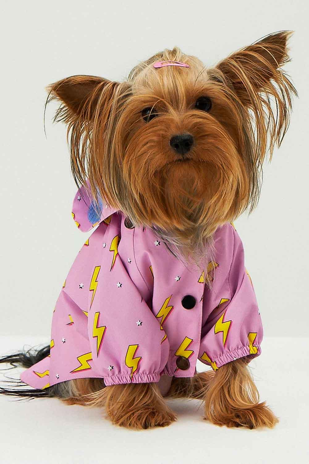 Little Monsters-Pink Flash Yağmurluk-Köpek-4-milagron.live