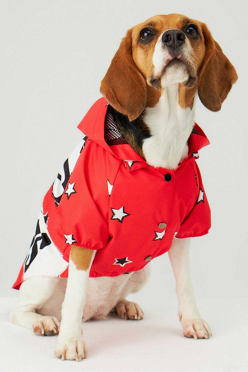 Little Monsters-Red LM Yağmurluk-Köpek-2-milagron.live