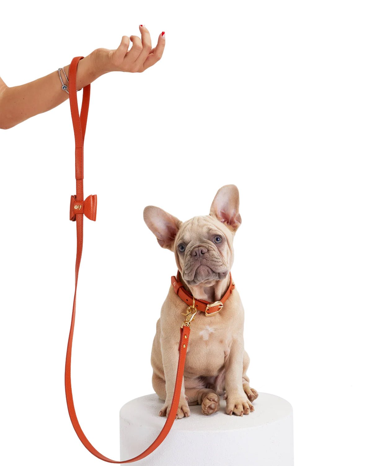 Bisou Dog Leash