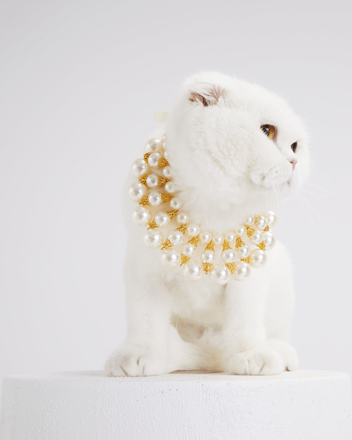 Dubai Cat Necklace