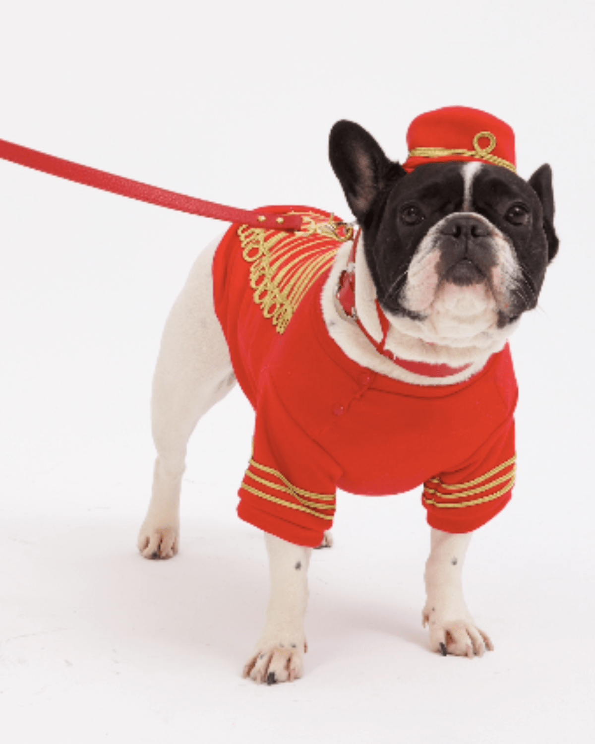 Empire Dog Sweatshirt