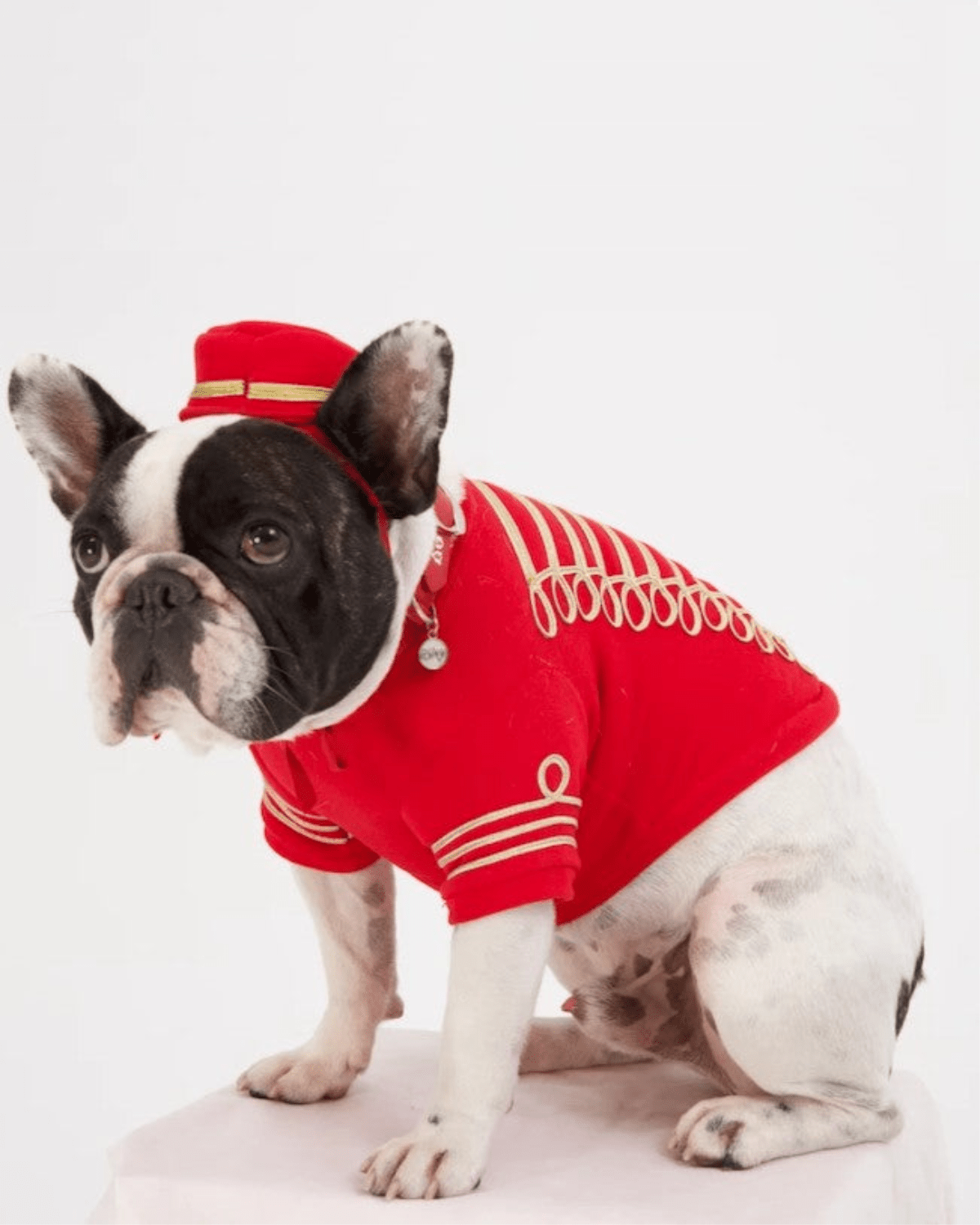 Empire Dog Sweatshirt