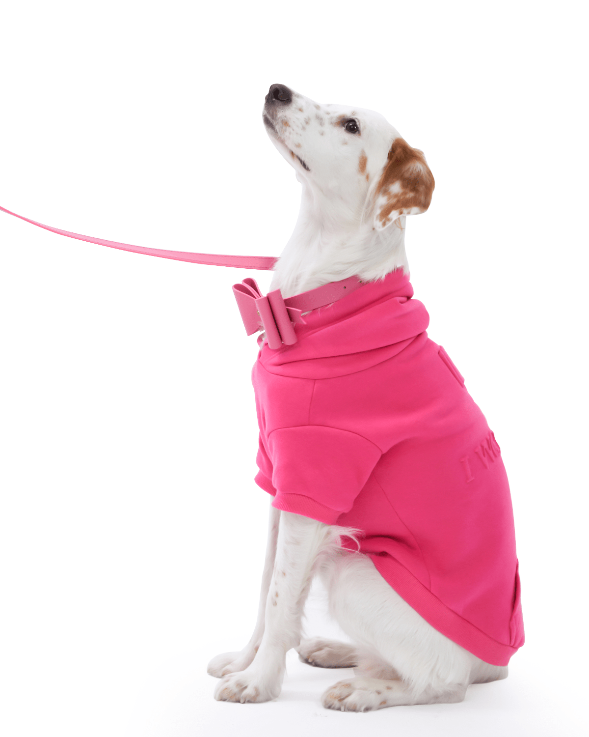 Metapink Bow Dog Collar — Paris Hilton × Moshiqa | Removable Bow, Fits All Sizes