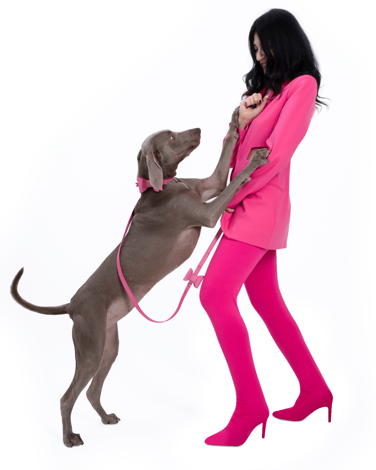 Metapink Bow Dog Collar — Paris Hilton × Moshiqa | Removable Bow, Fits All Sizes