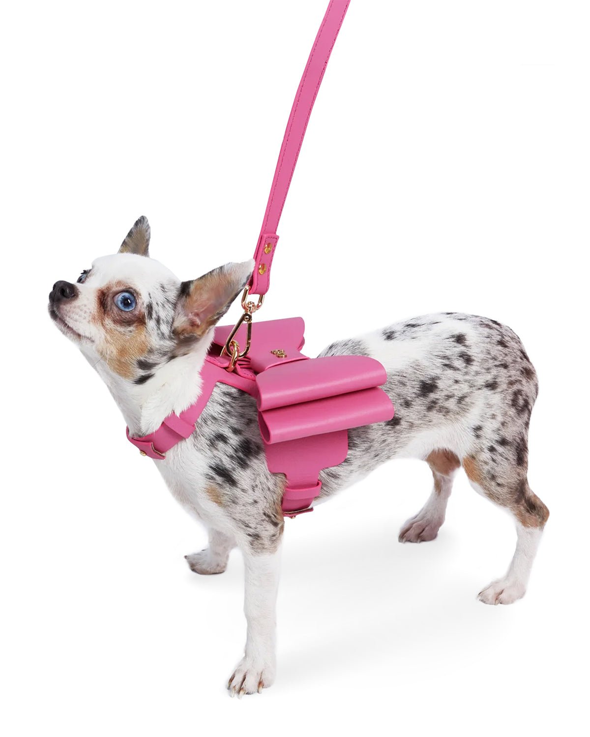 Metapink Bow Dog Harness — Paris Hilton × Moshiqa Luxury No-Pull Pet Harness