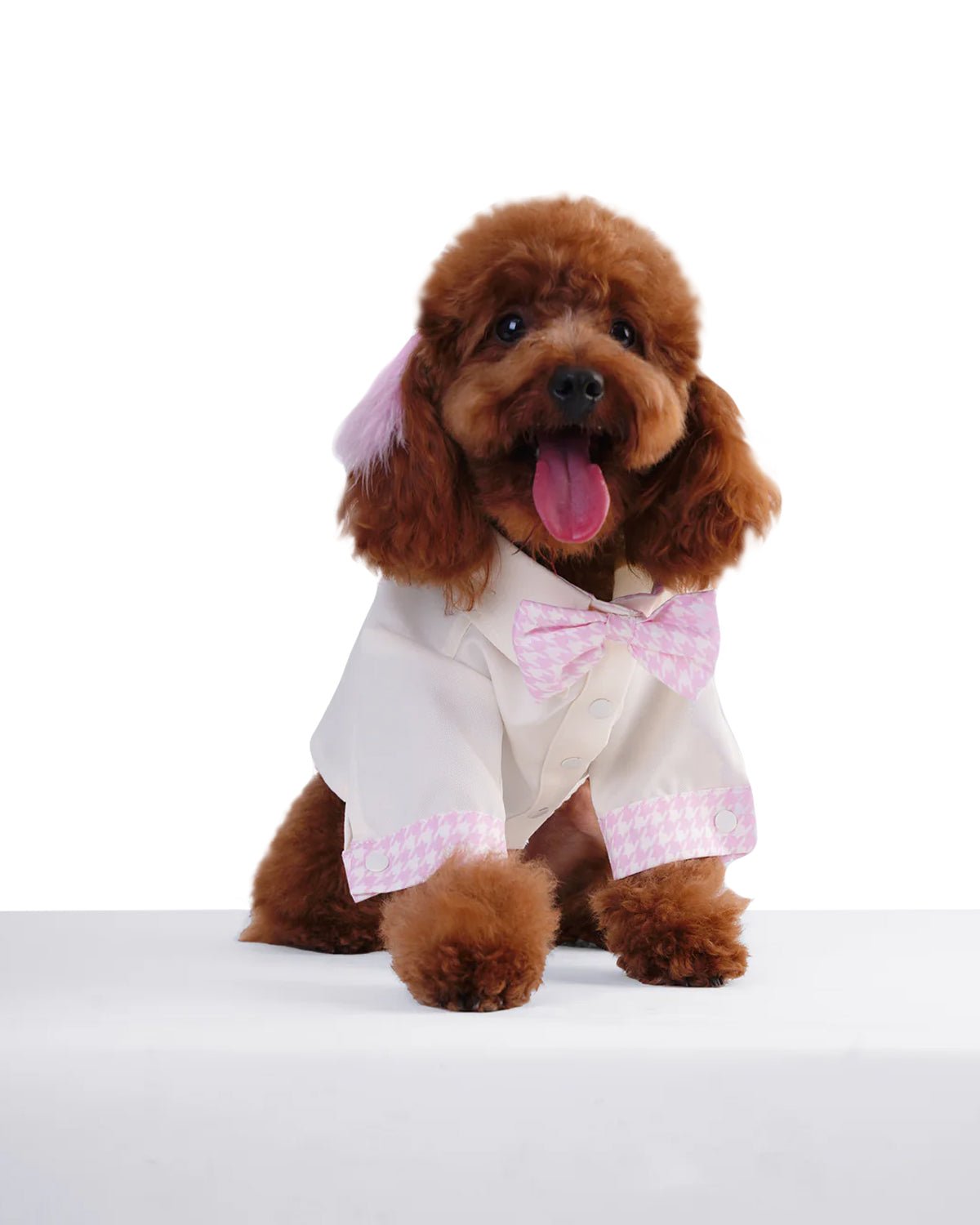 Milky Dog Shirt
