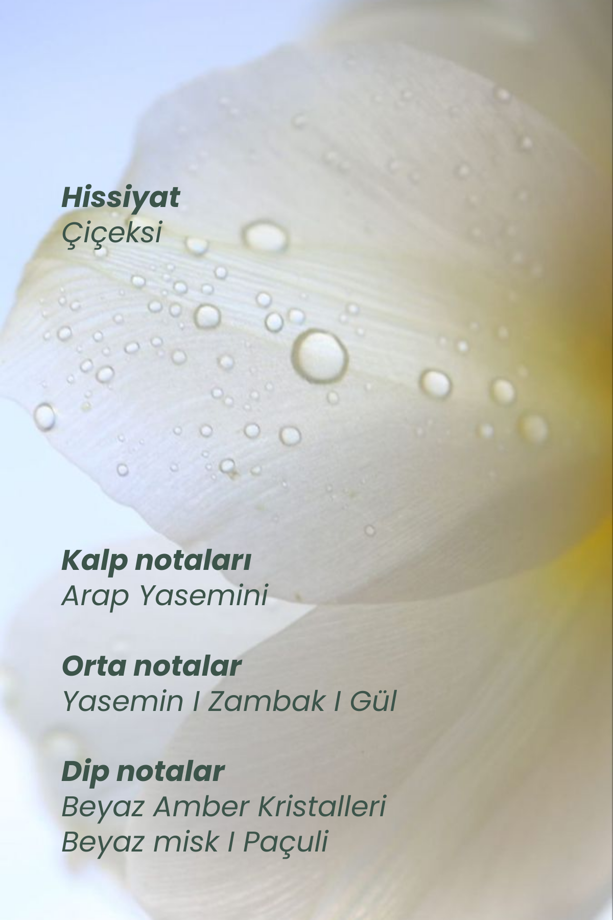 Myth | Saç Parfümü 10 Ml