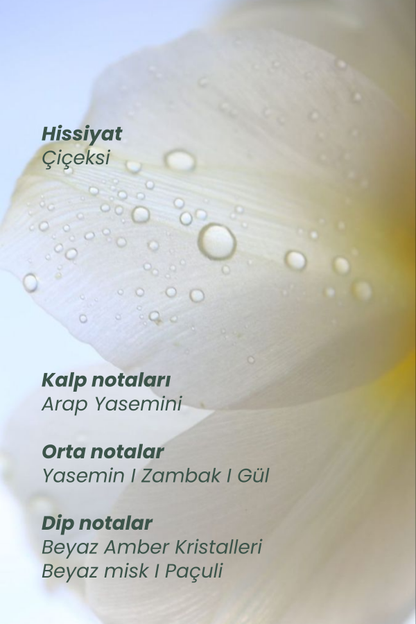 Myth | Saç Parfümü 50 Ml