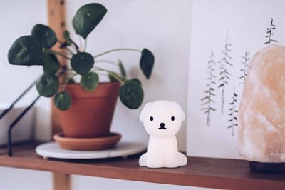 Mini Snuffy Lamba