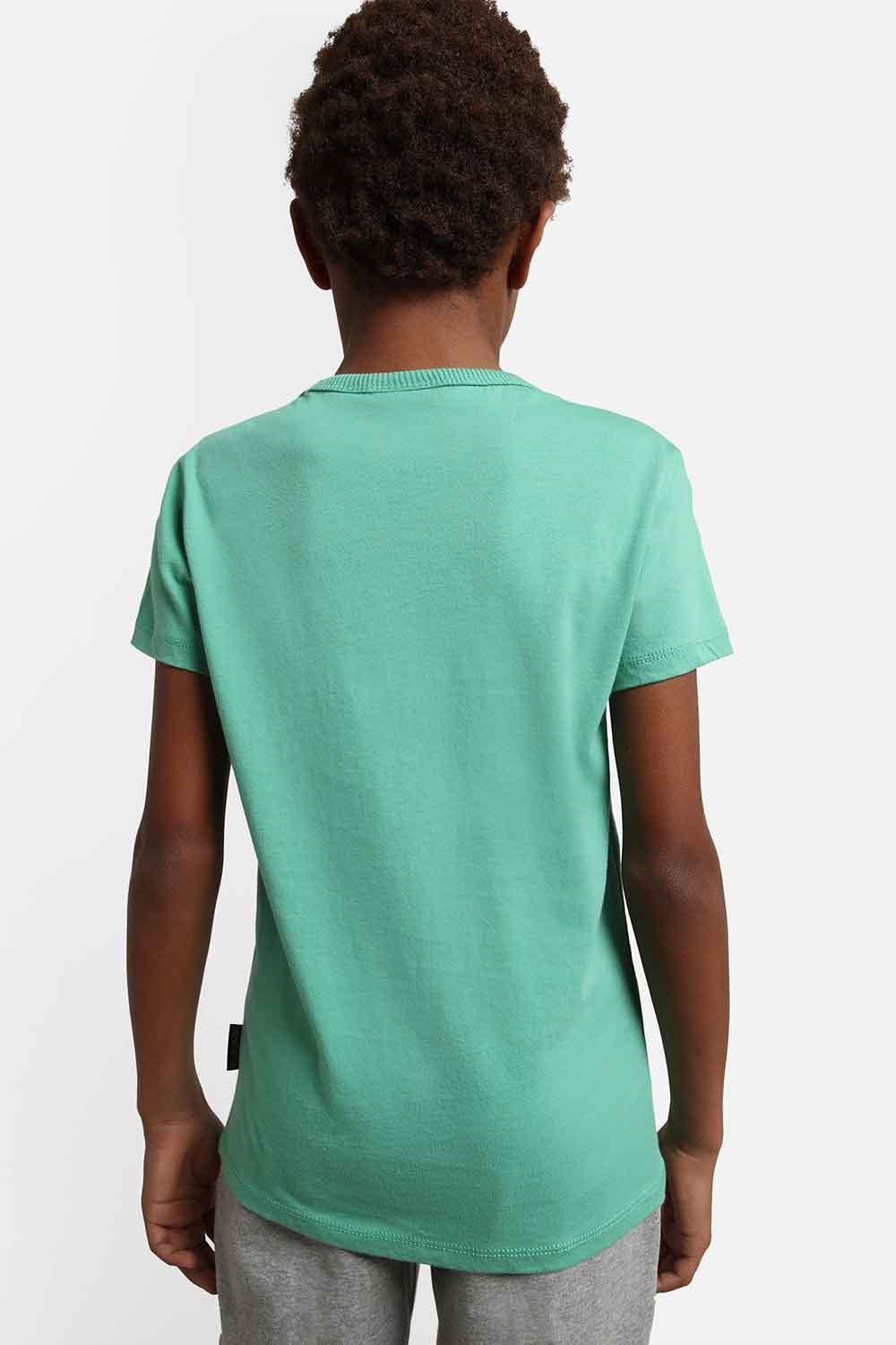 Napapijri-Short Sleeve T-Shirt Box Green Spruce-T-Shirts-4-milagron.live