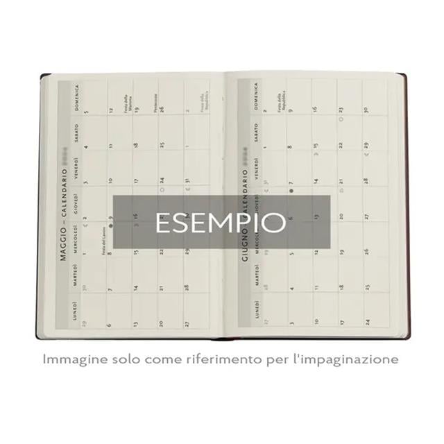 Paperblanks-2026 English Diary Wild Flowers Midi Day Ajanda-Ajanda-4-milagron.live