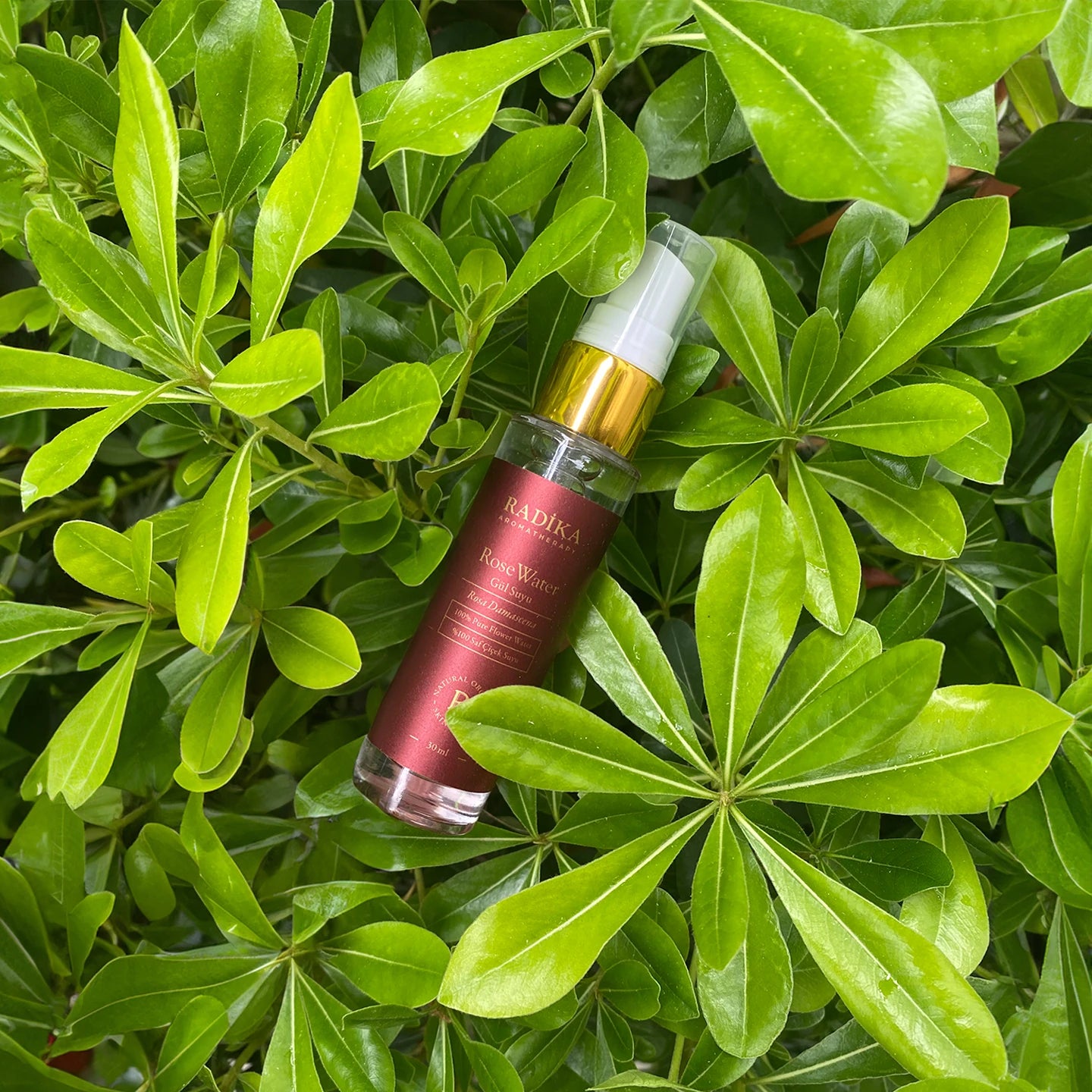 Doğal Gül Suyu 30 Ml | Tüm Cilt Tipleri, Kuru Ve Hassas Ciltler İÇin