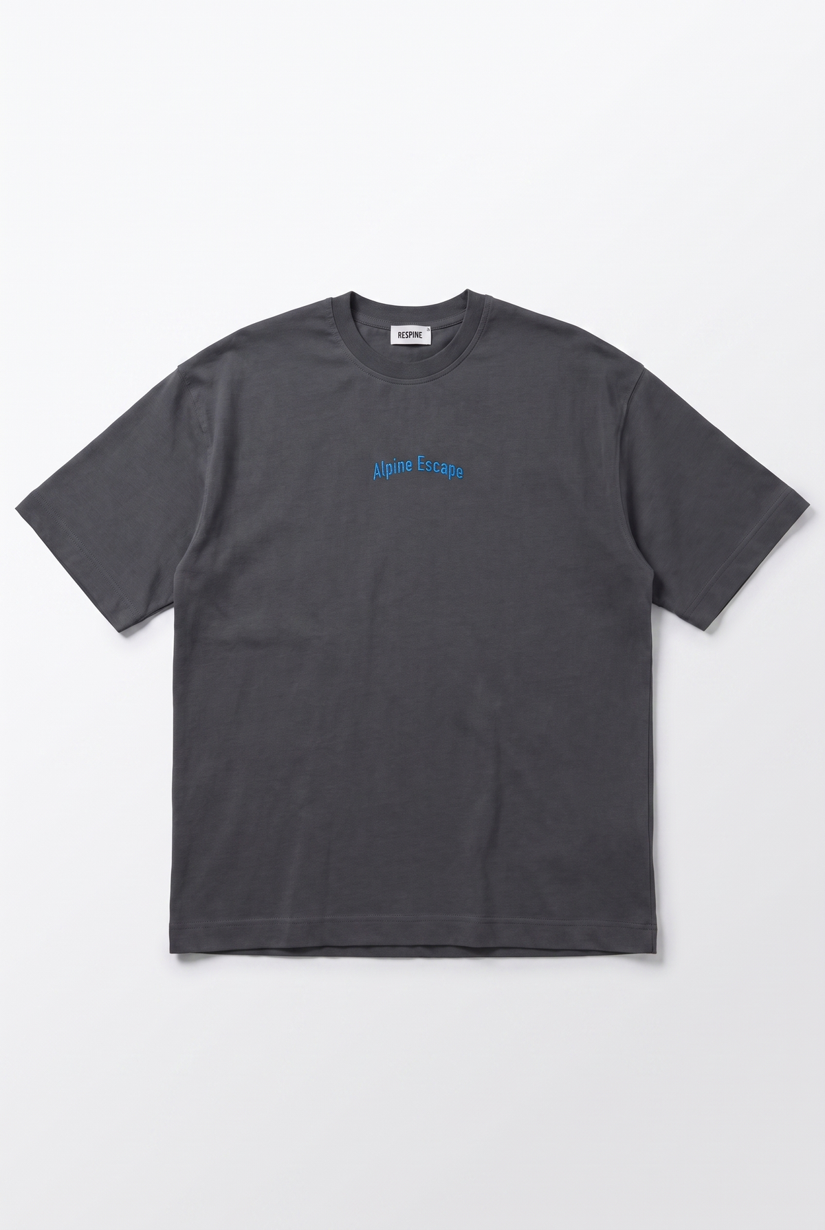 Erkek Alpine Nakışlı Oversize T-Shirt Füme