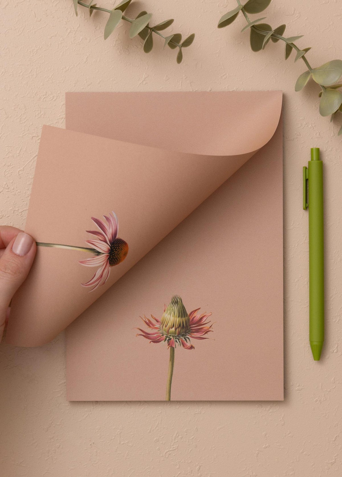 Art Line Mini Notluk Coneflower 15X21 Cm 40 Yaprak