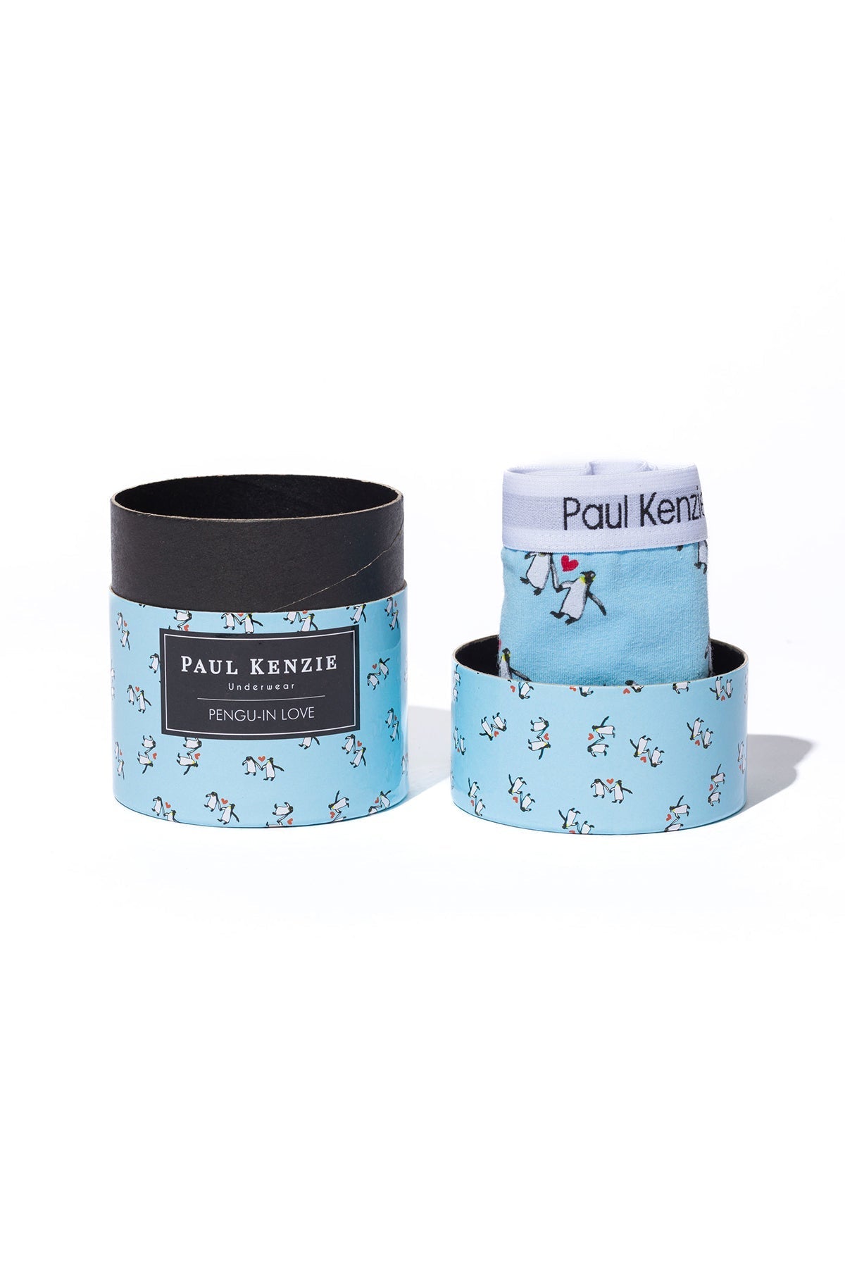 Couple Collection Desenli Kadın String Külot, Penguin Love - 1