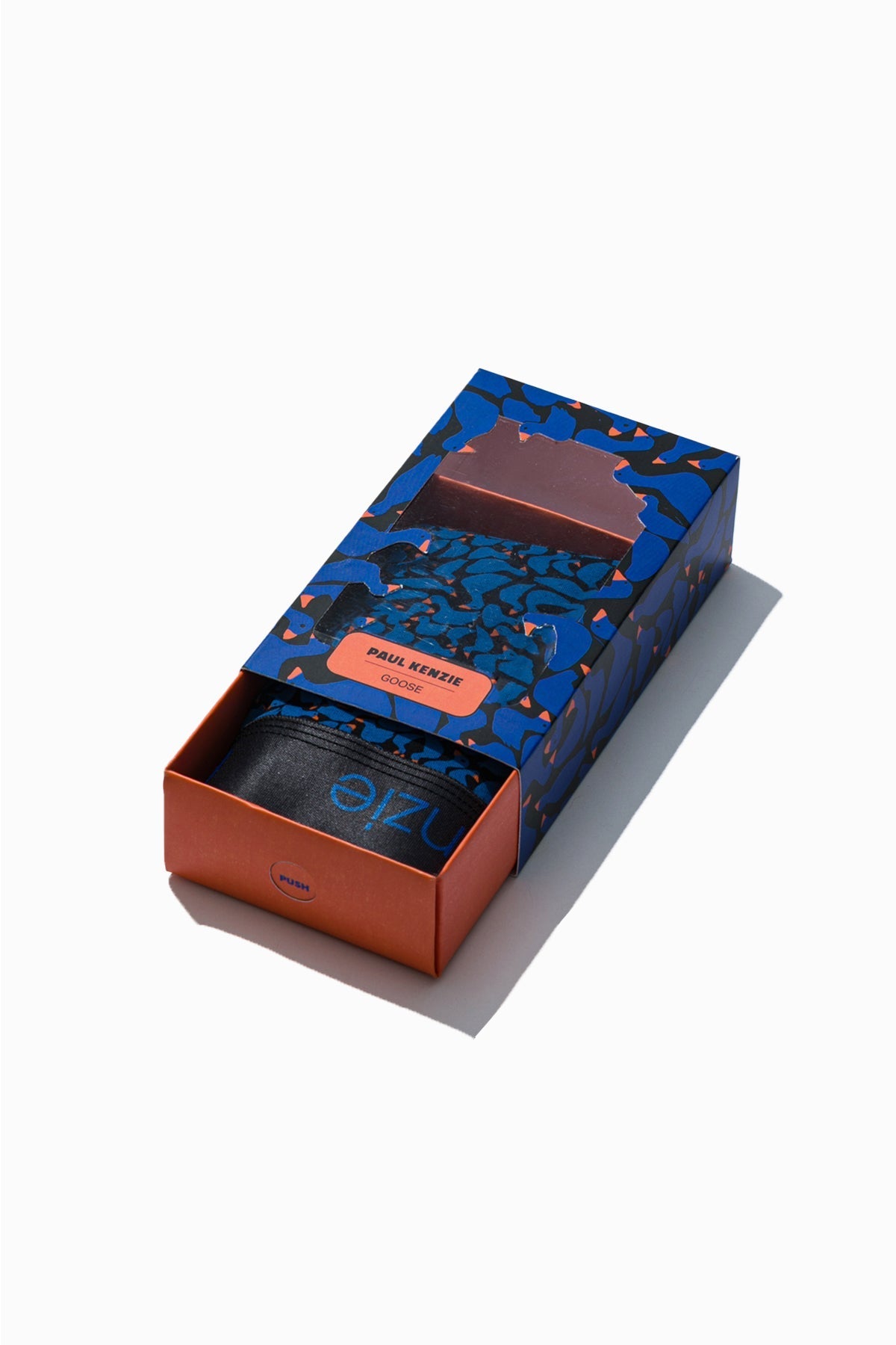 Desenli Kadın Slip Külot, Goose - 1