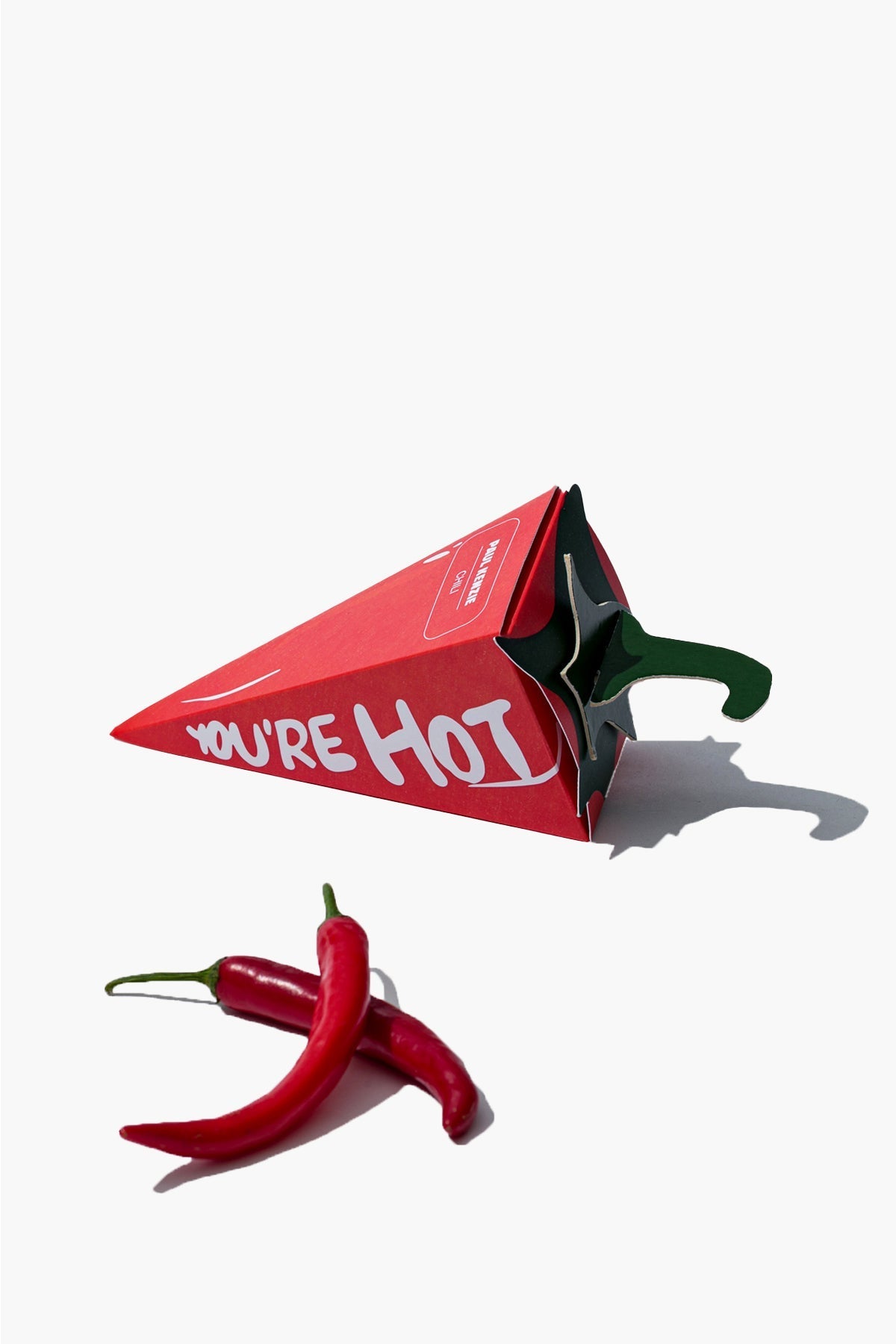Desenli Kadın Boyshort Külot, Chili - 2