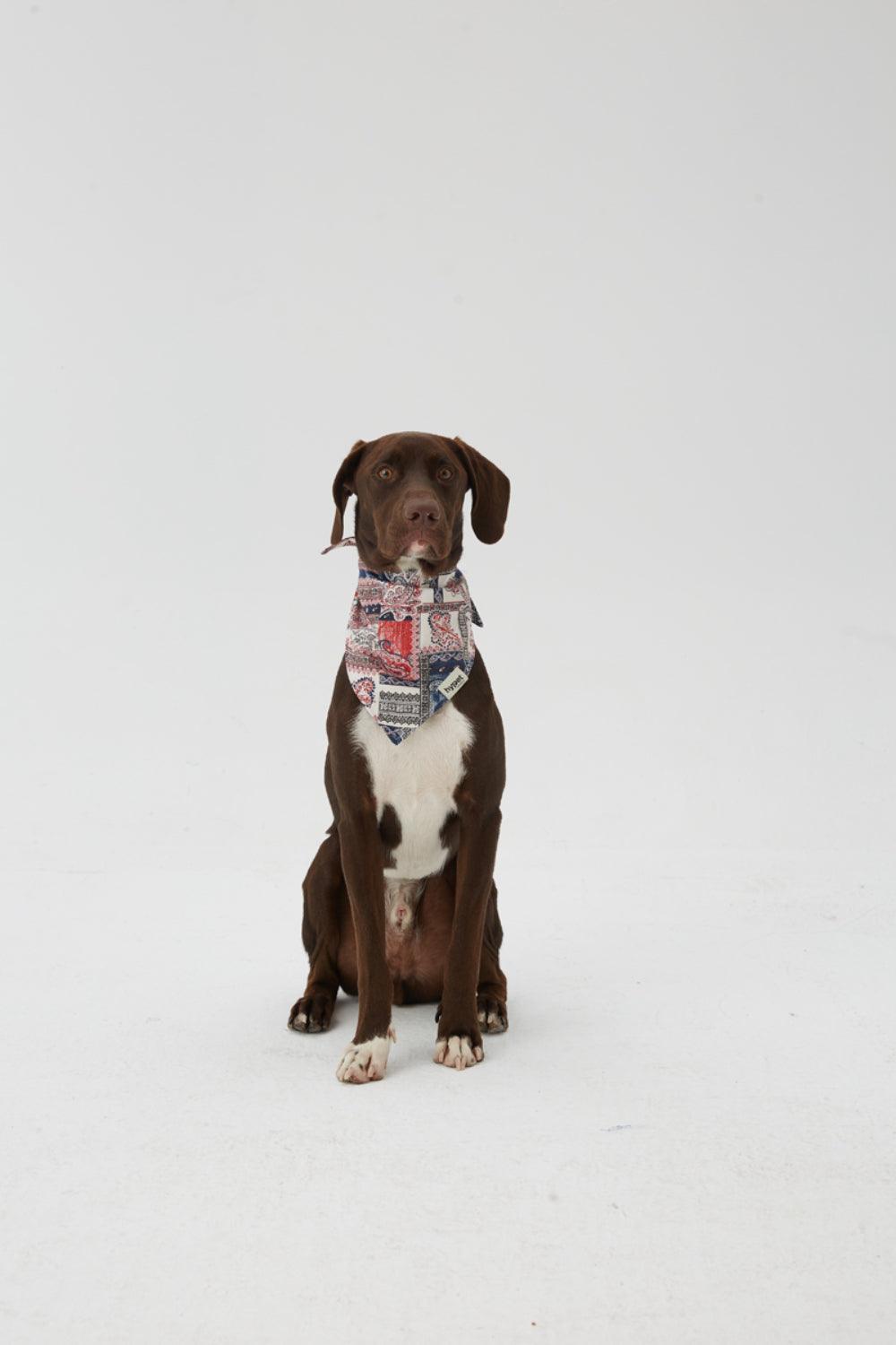 Hypet Fashion-Patchwork Bandana-Köpek-4-milagron.live