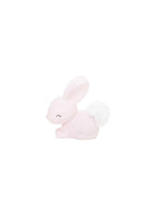 Zodiac Bunny Gece Lambası - 0