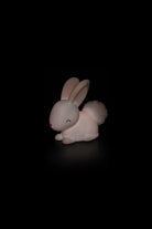 Zodiac Bunny Gece Lambası - 5