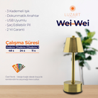Wei Wei (Manyetik Şarj Kasetli) - 9