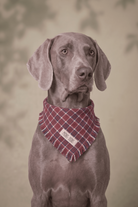 Aero Bandana - 0