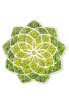 Yns-005 Dekoratif Yosun Duvar Tablosu - 4