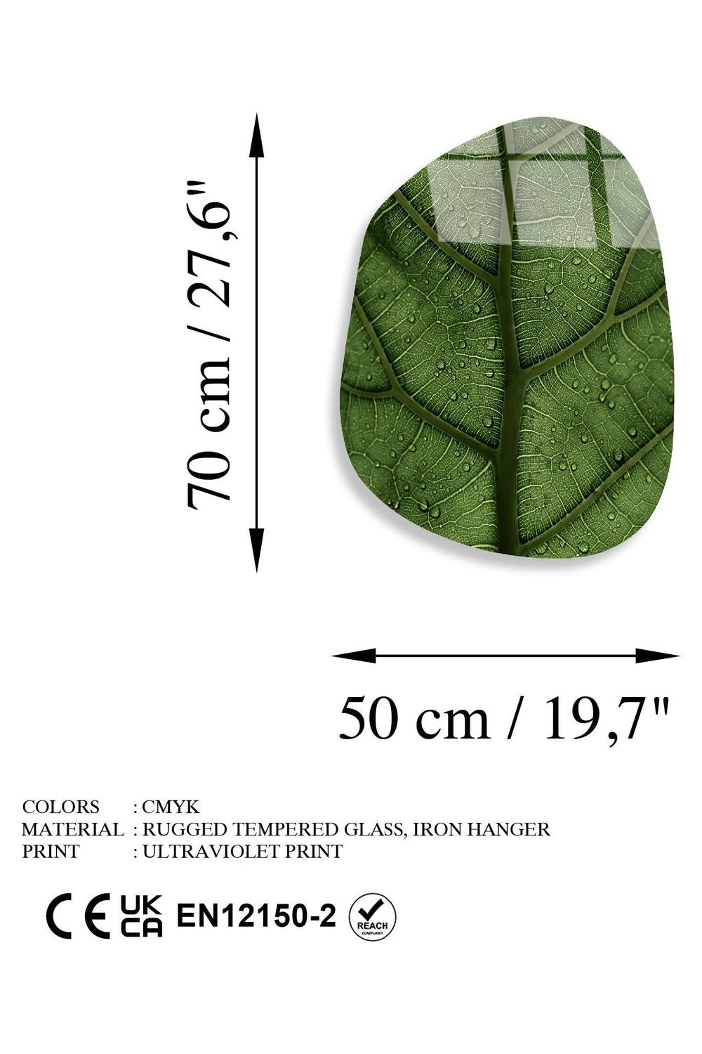 Uv-1099 Baskılı Cam Amorf Duvar Tablosu - 5