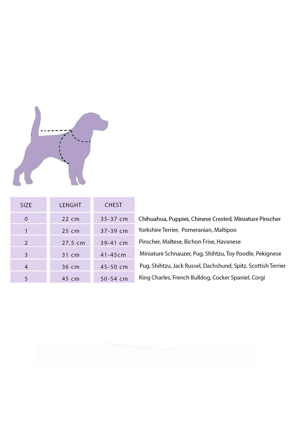 Alphadog Design-Heaven Blue Pet Kazak-Kedi-3-milagron.live