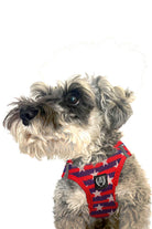 Alphadog Design-Stars Air Mesh Harness Göğüs Tasması-Köpek-3-milagron.live