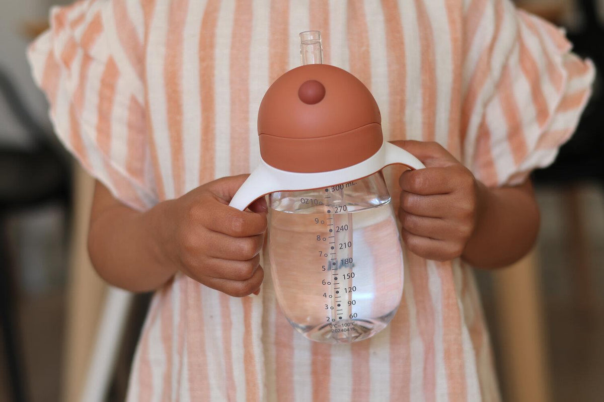 300 Ml Şeffaf Pipetli Suluk, Terracotta