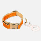 Bloominbag-Bloom Paw Copper Hakiki Deri Pet Tasma-4-milagron.live