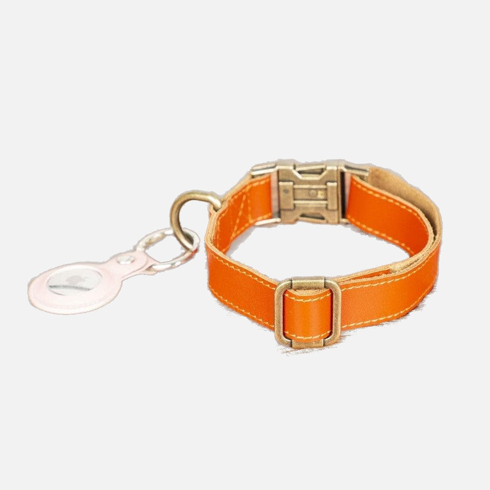 Bloominbag-Bloom Paw Copper Hakiki Deri Pet Tasma-5-milagron.live
