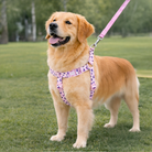 Patterned Recycled H-Type Harness