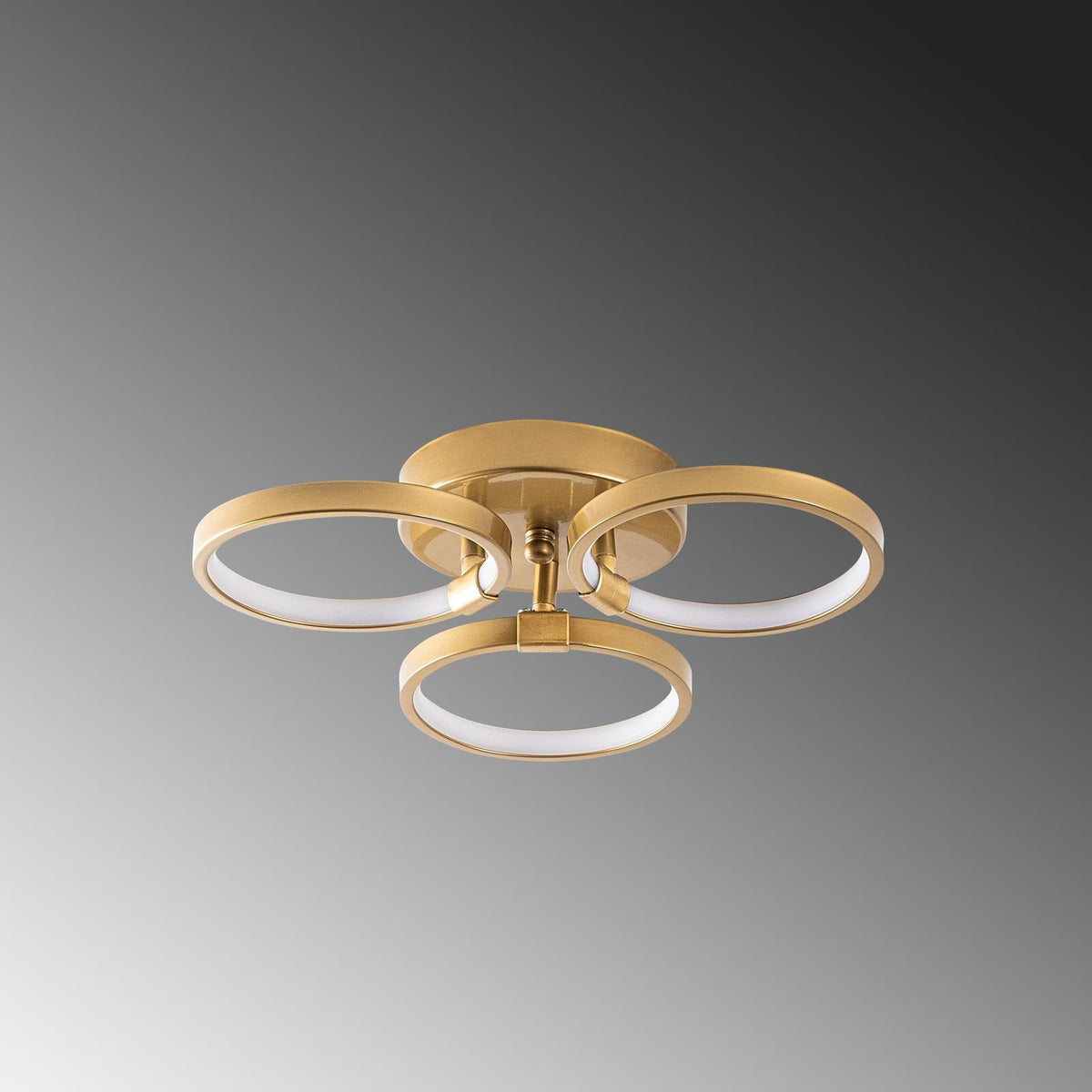 Irisara 13311 Led Plafonyer Aydınlatma 
