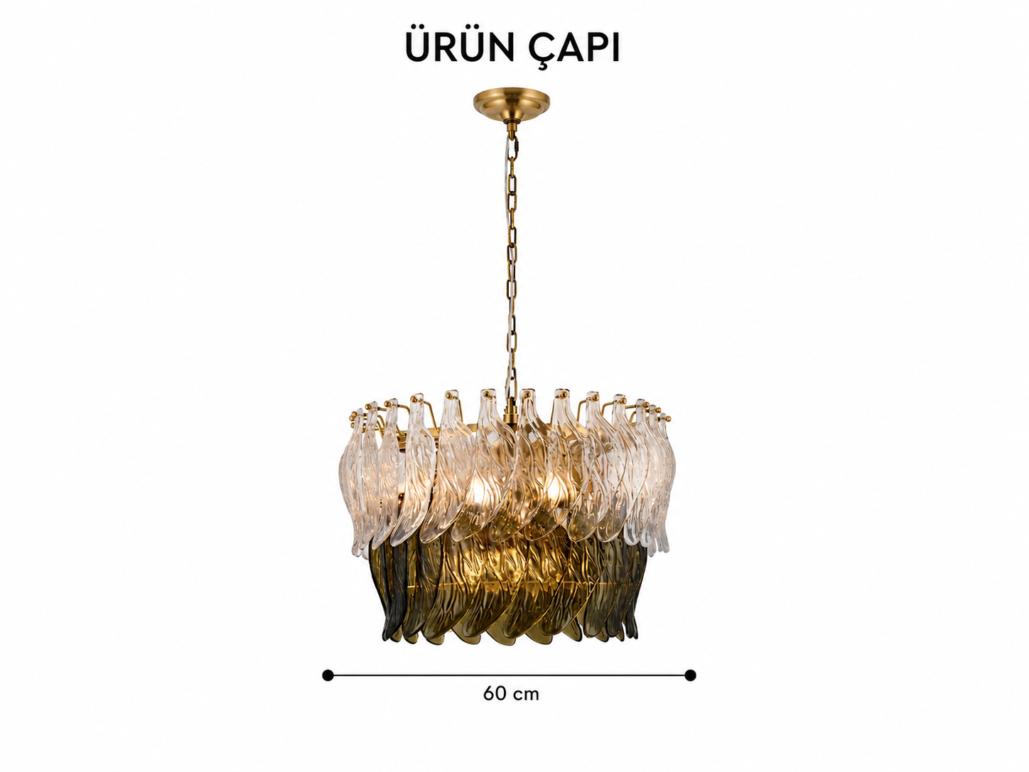 Lumiana-Siena Avize-Avize-4-milagron.live