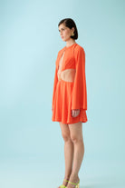 Declara-Episcia Reptans Dress-2-milagron.live